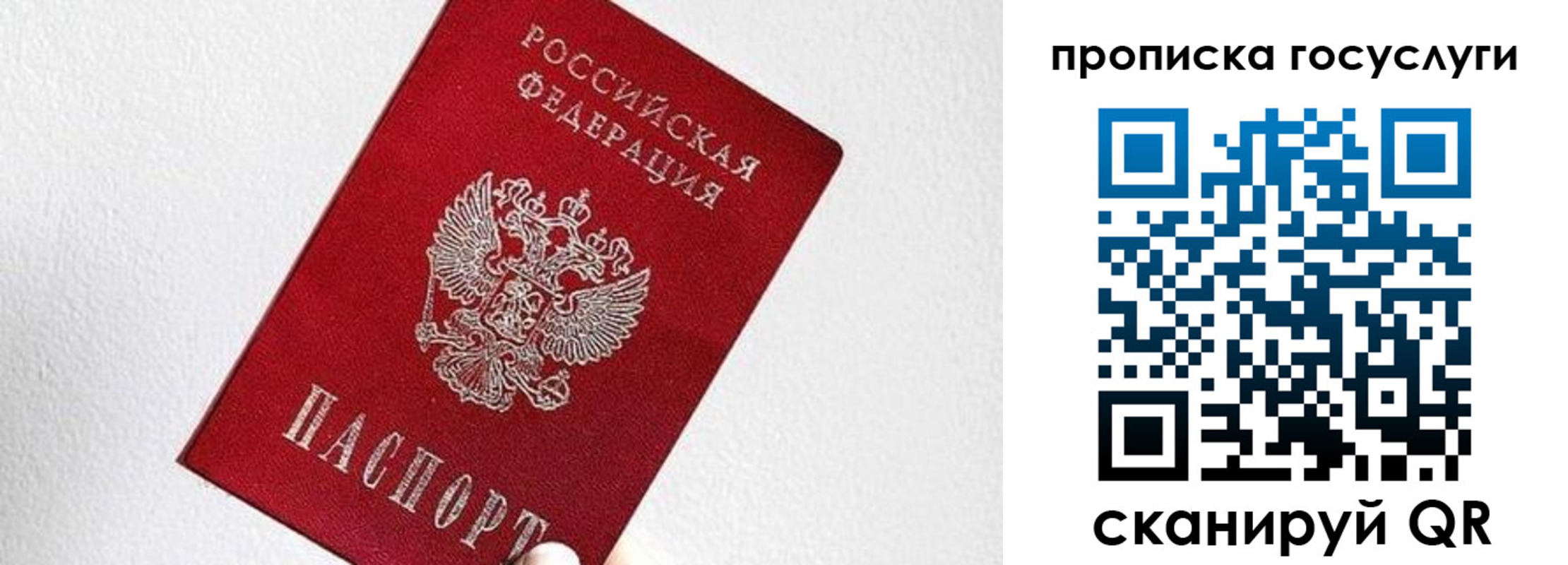 прописка законно в Раменском